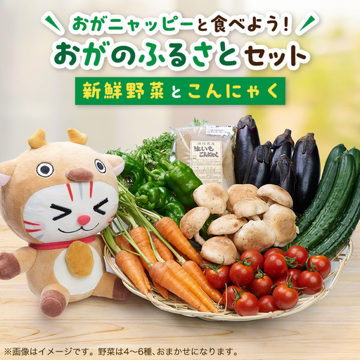 おがニャッピーと食べよう!おがのふるさとセット[配送不可地域:離島・沖縄県]