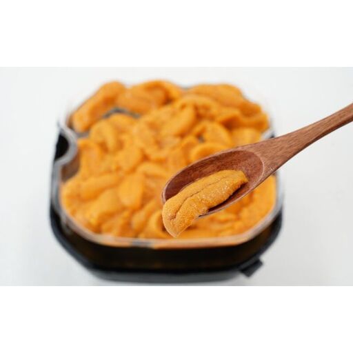 2ヵ月 定期便 うに ロシア産 バフンウニ 塩水パック 100g×1 [マルタク水産][ 雲丹 ウニ 新鮮 海産物 冷蔵 濃厚 甘い ]