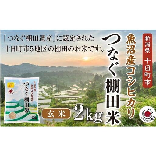 玄米2kg 令和7年産新潟県十日町市魚沼産コシヒカリ「つなぐ棚田米」 米 こしひかり 玄米 十日町市