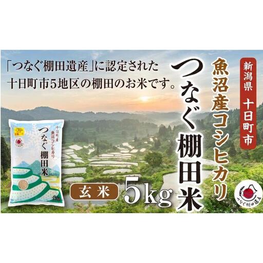玄米5kg 令和7年産新潟県十日町市魚沼産コシヒカリ「つなぐ棚田米」 米 こしひかり 玄米 十日町市