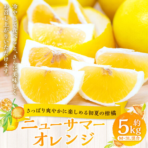 【 さっぱり爽やかに楽しめる初夏の柑橘 】 ニューサマーオレンジ 約5kg オレンジ おれんじ 柑橘 柑橘系 柑橘類 みかん ミカン くだもの 果物 フルーツ 果実 果汁 果肉 国産 愛媛県産 【 2027年4月上旬～5月下旬発送予定 】 ( 1067 )