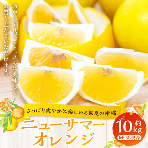 【 さっぱり爽やかに楽しめる初夏の柑橘 】 ニューサマーオレンジ 約10kg オレンジ おれんじ 柑橘 柑橘系 柑橘類 みかん ミカン くだもの 果物 フルーツ 果実 果汁 果肉 国産 愛媛県産 【 2027年4月上旬～5月下旬発送予定 】 ( 1068 )