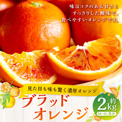 [ 見た目も味も驚く濃厚オレンジ ] ブラッドオレンジ 約2kg オレンジ おれんじ 柑橘 柑橘系 柑橘類 みかん ミカン くだもの 果物 フルーツ 果実 果汁 果肉 国産 愛媛県産 [ 2027年2月下旬〜4月上旬発送予定 ] ( 1069 )