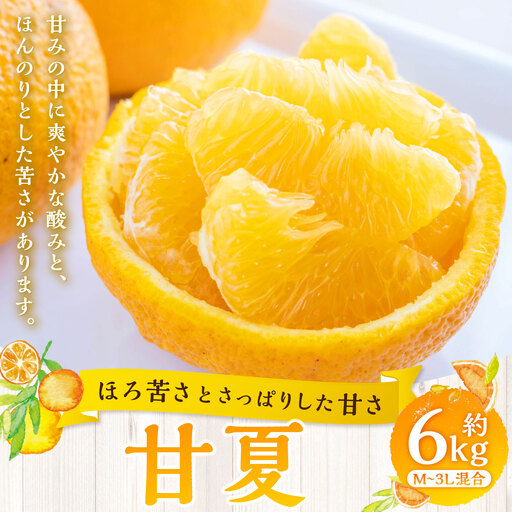 【 ほろ苦さとさっぱりした甘さ 】 甘夏 約6kg みかん ミカン 柑橘 柑橘系 柑橘類 くだもの 果物 フルーツ 果実 果汁 果肉 国産 愛媛県産 【 2027年3月上旬～4月下旬発送予定 】 ( 1092 )