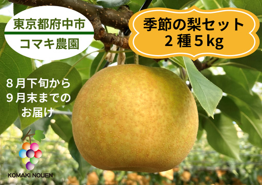 【コマキ農園】季節の梨セット（2種・5kg)【8月末～9月末発送分予約】