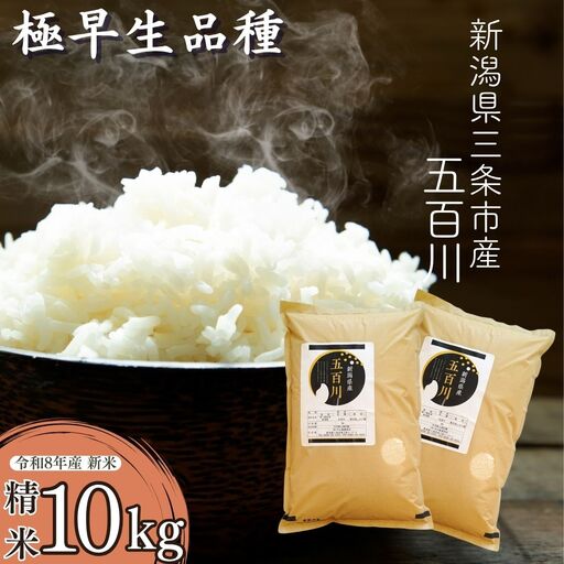 先行予約 極早生 新潟県三条市産五百川 10kg (5kg×2袋) 令和8年産 精米 外山敏雄商店