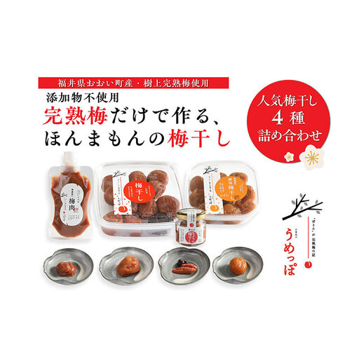 おおい町産の希少品種の完熟梅 昔ながらの梅干 いろいろセット 紅映梅 希少品種 樹上完熟 昔ながら 梅農家が作った 手作り 福井梅 梅 梅干 梅干し うめぼし 完熟 食べ比べ セット 福井県 おおい町