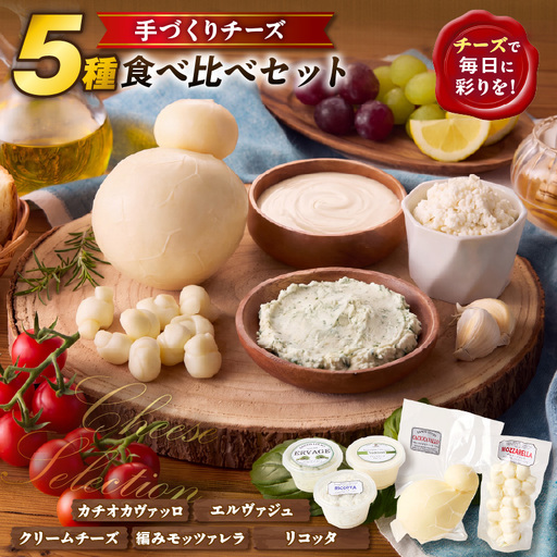 [国産]サントルチオの手づくりチーズ5種食べ比べセット(カチョカヴァロ(カチョカバロ)・リコッタ・編みモッツァレラ・エルヴァジュ・クリームチーズ)
