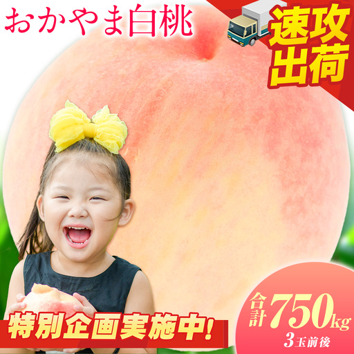 桃 岡山の桃 約750g スピード出荷