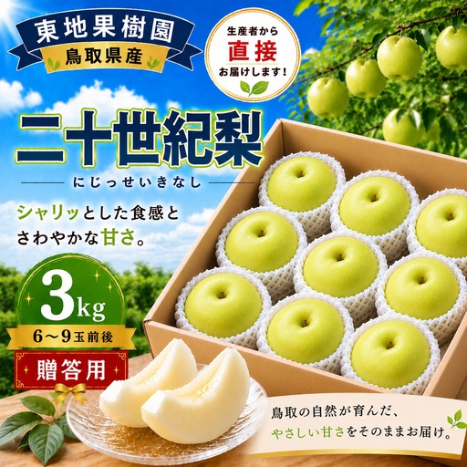 [期間限定] 梨 なし 二十世紀 3kg 6〜9玉 2026年8月下旬〜9月上旬頃順次発送 果物 くだもの フルーツ ブランド 鳥取県 名産 特産品 先行予約 東地果樹園 直送 新鮮 人気 定番 おすすめ 送料無料 進物 贈答 367M