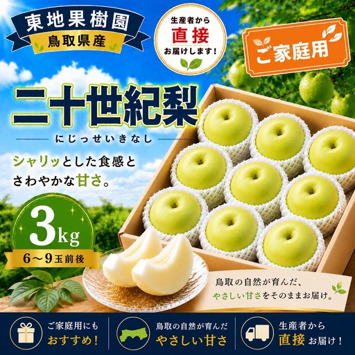 [期間限定] 梨 なし ご家庭用 訳あり 二十世紀 3kg 6〜9玉 2026年8月下旬〜9月上旬頃順次発送 果物 くだもの フルーツ ブランド 鳥取県 名産 特産品 先行予約 東地果樹園 直送 新鮮 人気 定番 おすすめ 送料無料 368M
