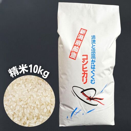 【令和7年産米】新潟県村上市 岩船産コシヒカリ 精米 10kg×1袋　1100001