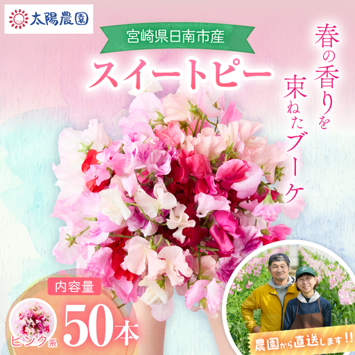 スイートピー 花束 50本 ピンク系 フラワー 期間限定 数量限定_CB122-26