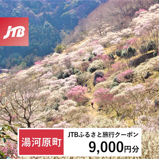 [ふるなび限定][湯河原町]JTBふるさと旅行クーポン(9,000円分)有効期間3年(Eメール発行)