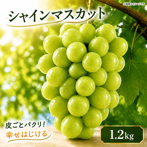 シャインマスカット 1.2kg シャインマスカット