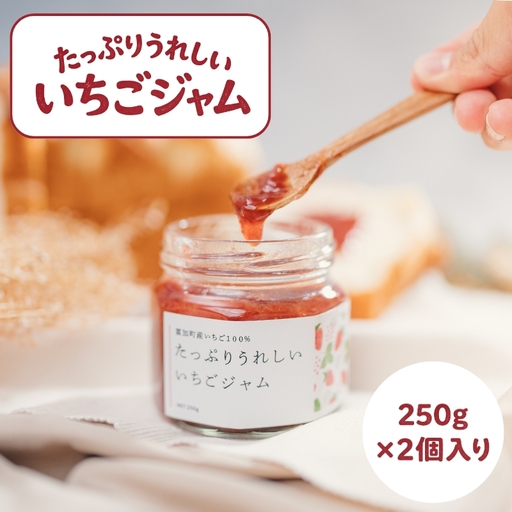 [7021]たっぷりうれしいいちごジャム 250g×2個入り