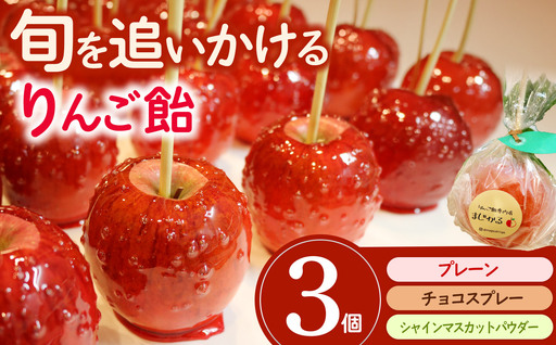 りんご飴専門店まじかる りんご飴Aセット[プレーン×1,チョコスプレー×1,シャインマスカットパウダー×1]│リンゴ 林檎 お祭り スイーツ りんごあめ リンゴアメ