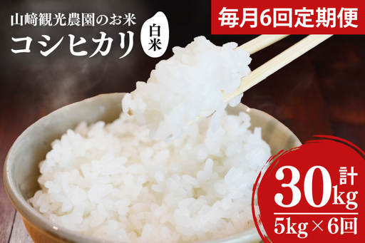 ＼先行予約／【全6回定期便】＜毎月＞山﨑観光農園のお米　コシヒカリ　白米5kg(AU050)