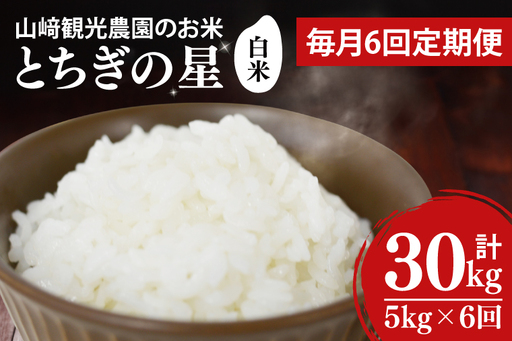 ＼先行予約／【全6回定期便】＜毎月＞山﨑観光農園のお米　とちぎの星　白米5kg （AU053）