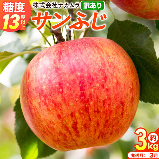 【27年3月クール便発送】りんご サンふじ【訳あり】約3kg（8～13玉程度）糖度13度以上 先行受付 青森県産 林檎 リンゴ 果物 くだもの フルーツ 青森県 弘前市 不揃い 規格外