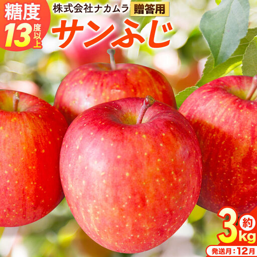 りんご サンふじ 贈答用 約3kg[12月発送]