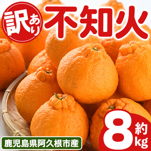 ＜先行予約受付中！2027年3月上旬以降順次発送予定＞ 訳あり！露地栽培の不知火(約8kg) 国産 不知火 しらぬい 柑橘 果物 フルーツ デザート 露地 果実 期間限定 数量限定 【古田果樹園】akn093-09