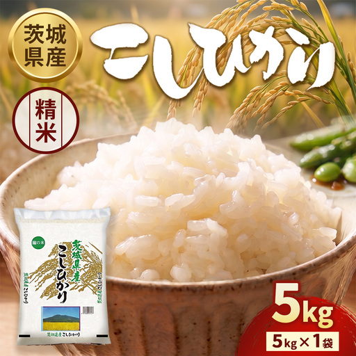 [令和7年産]茨城コシヒカリ 5kg×1袋[精米] | お米 米 こしひかり 茨城県産 白米 ブランド米 小分け