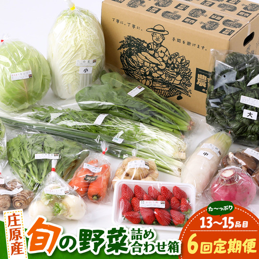 【定期便 6回配送】広島県庄原産「旬の野菜」詰め合わせ箱（13～15品目）野菜セット やさい 6ヵ月 6か月 6ヶ月 定期 頒布会