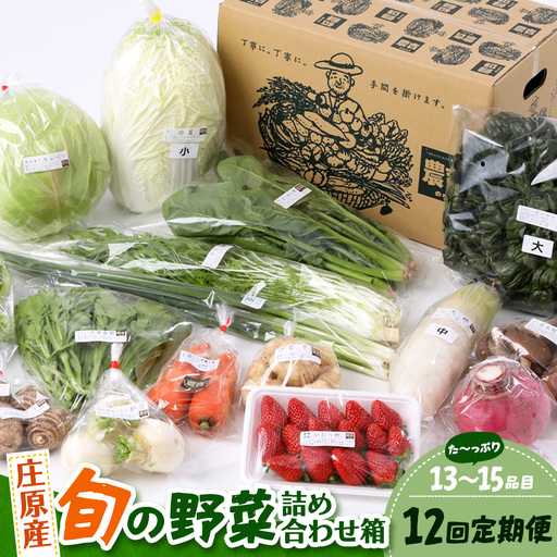 【定期便 12回配送】広島県庄原産「旬の野菜」詰め合わせ箱（13～15品目）野菜セット やさい 12ヵ月 12か月 12ヶ月 1年 1年間 定期 頒布会