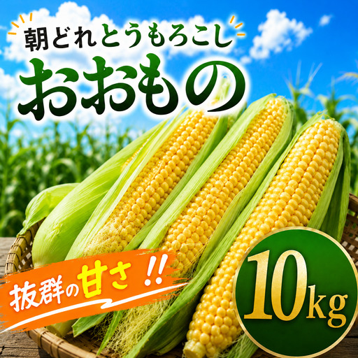 【終了間近】とうもろこし 黃 10kg  [SIN003]  とうもろこし