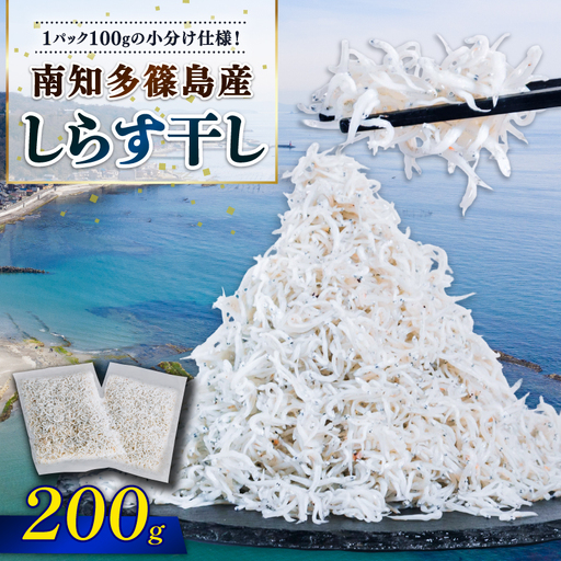 しらす干し 約200g(100g×2パック) 南知多篠島産 大一商店 冷凍 小分け