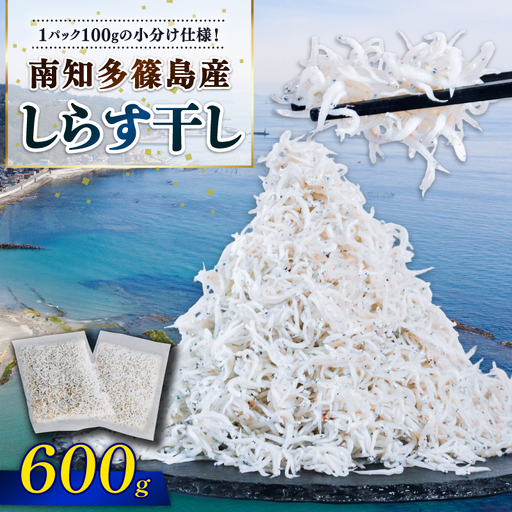 しらす干し 約600g（100g×6パック） 南知多篠島産 大一商店 冷凍 小分け