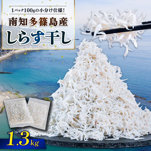 しらす干し 約1.3kg（100g×13パック） 南知多篠島産 大一商店 冷凍 小分け