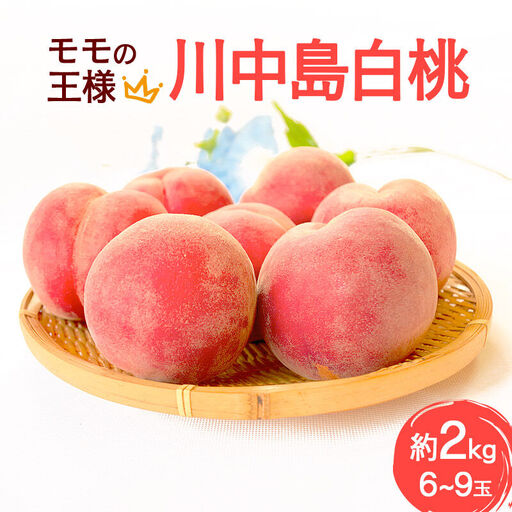 モモの王様 川中島白桃 約2kg（6～9玉前後）