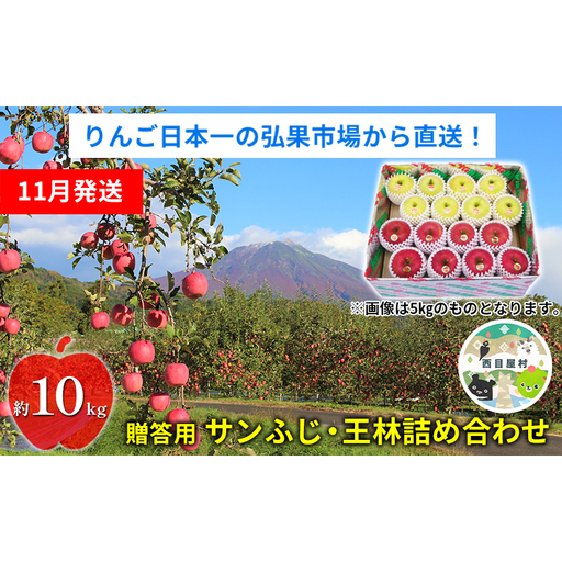 [11月発送] 贈答用 サンふじ・王林詰め合わせ 約10kg[青森りんご] 果物 果実 フルーツ 新鮮 美味しい 自然環境 赤い 黄色い 太陽 ジューシー 芳香 セット 贈り物 ギフト