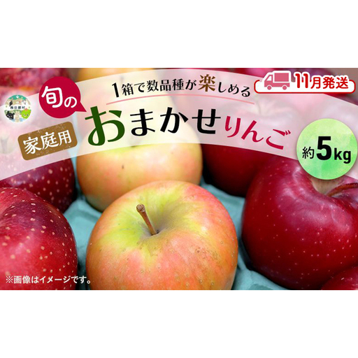 [11月発送] 家庭用 旬のりんご 品種おまかせ 約 5kg 2品種〜4品種 りんご