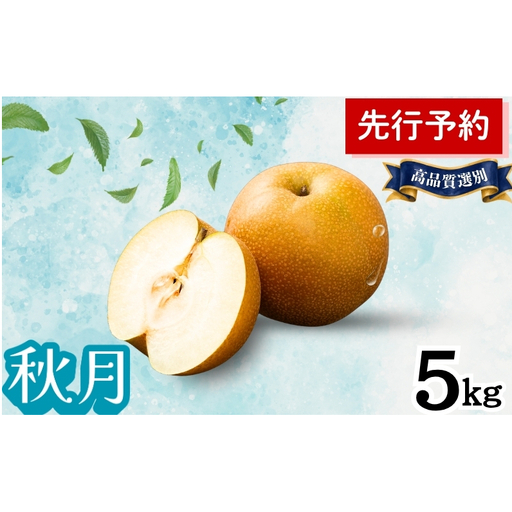 秋月 5kg 高品質選別(12〜14個入) 秋田県 能代市 梨 なし ナシ 果物 フルーツ 厳選 贈答用 甘い 果実 果汁