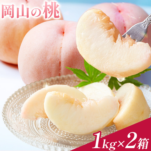 桃 岡山の桃 約1kg × 2箱