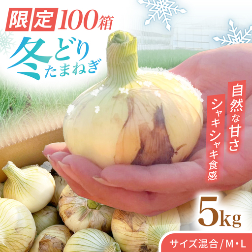 [先行予約 2027年1月〜発送]種から栽培するこだわり!冬どりたまねぎ5kg[藤武農産]