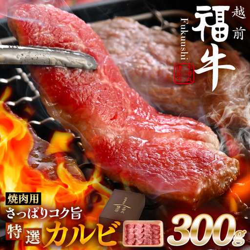 希少 越前福牛 特選カルビ 焼肉用 300g 牛肉 国産和牛 カルビ 冷凍 贈答 ギフト [A-1805]
