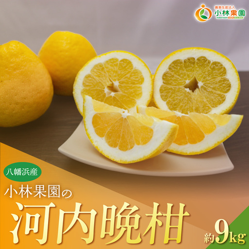 【先行受付】小林果園の河内晩柑(約9kg)YWTAD037