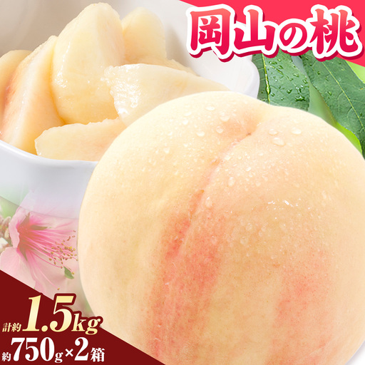 [豊作 特別寄附額]桃 岡山の桃 約750g×2箱