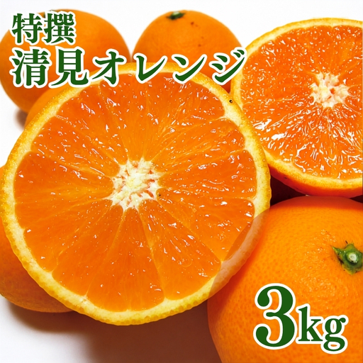 特撰　清見オレンジ 3kg+200g(補償分)【2027年2月下旬～5月上旬頃に順次発送予定】【ard239A】