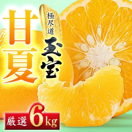 【先行受付】【愛媛名産】玉宝甘夏　6kg【C64-74】YWTY084