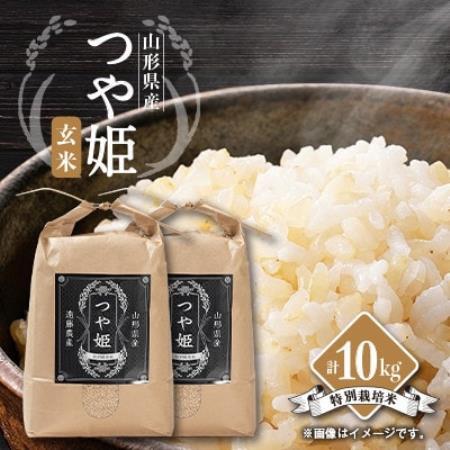 【発送月固定定期便】美味しいつや姫 玄米5kg×2袋が届く!全6回【4089325】