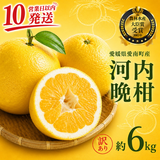 [10営業日以内発送][訳あり] 河内晩柑 樹齢 25年以上 5kg +傷み保証約1kg ( サイズミックス ) 7000円 みかん mikan 蜜柑 ミカン わけあり かわちばんかん 愛南ゴールド あいなん ゴールド 美生柑 文旦 人気 限定 さわやか 甘い フルーツ 果物 柑橘 蜜柑 規格外 小玉 含む 吉本農園 愛南町 愛媛県