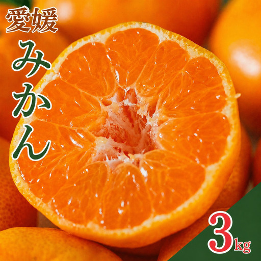 [先行予約]愛媛みかん 3kg (傷み補償200g付き) みかん 愛媛県 愛南町 吉本農園