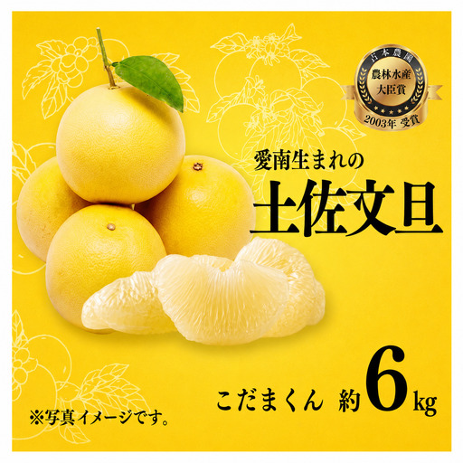 [先行予約][訳あり][発送:2027年3月上旬〜なくなり次第]土佐文旦 こだまくん 6kg 文旦