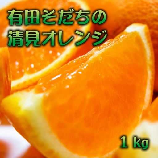 有田育ちの完熟清見オレンジ(ご家庭用) 1kg+200g(補償分)[2027年2月下旬〜5月上旬頃に順次発送予定][ard241]
