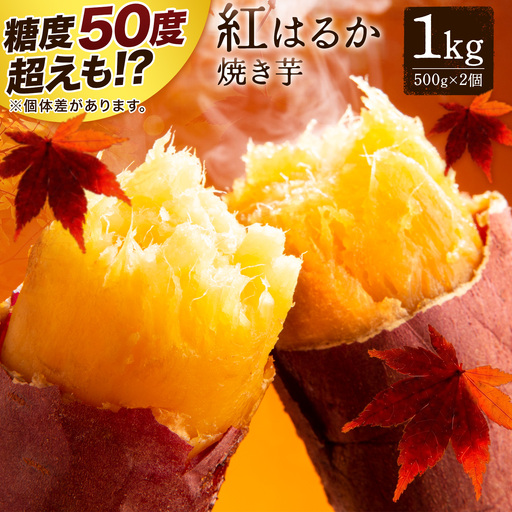 焼き芋 さつまいも 紅はるか 1kg 芋國屋
